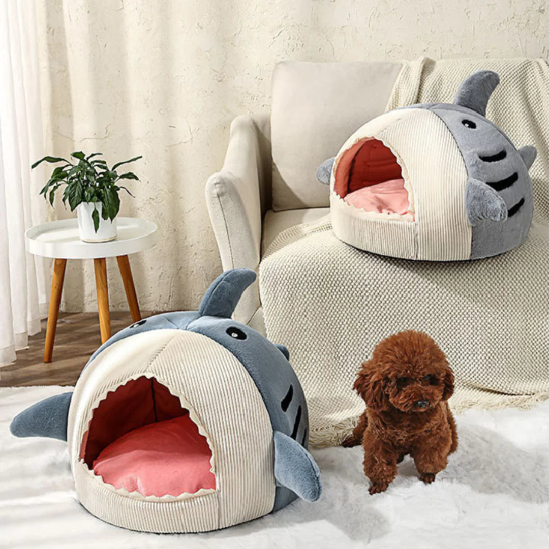 The Shark pet Bed