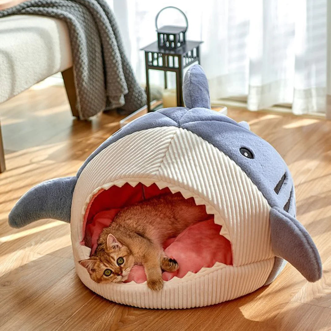 The Shark pet Bed